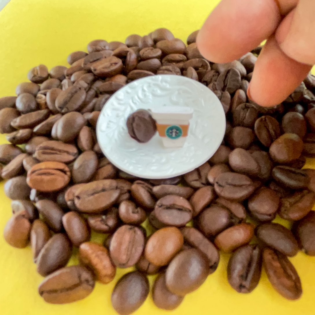 Starbucks Coffee Cup N Miniature Coffee Bean Ear Studs