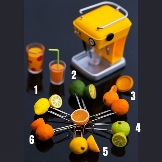 Citrus Fruit Miniature Planner N Paper Pins